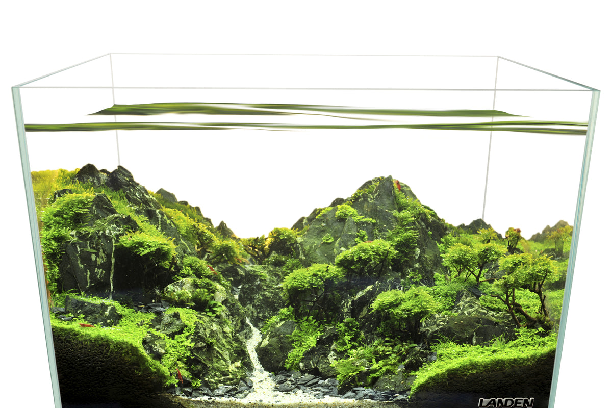Stream Tank Shallow Shallow Tanks – Nature Aquascapes